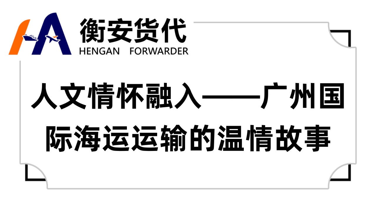 人文情怀融入——广州国际海运运输的温情故事