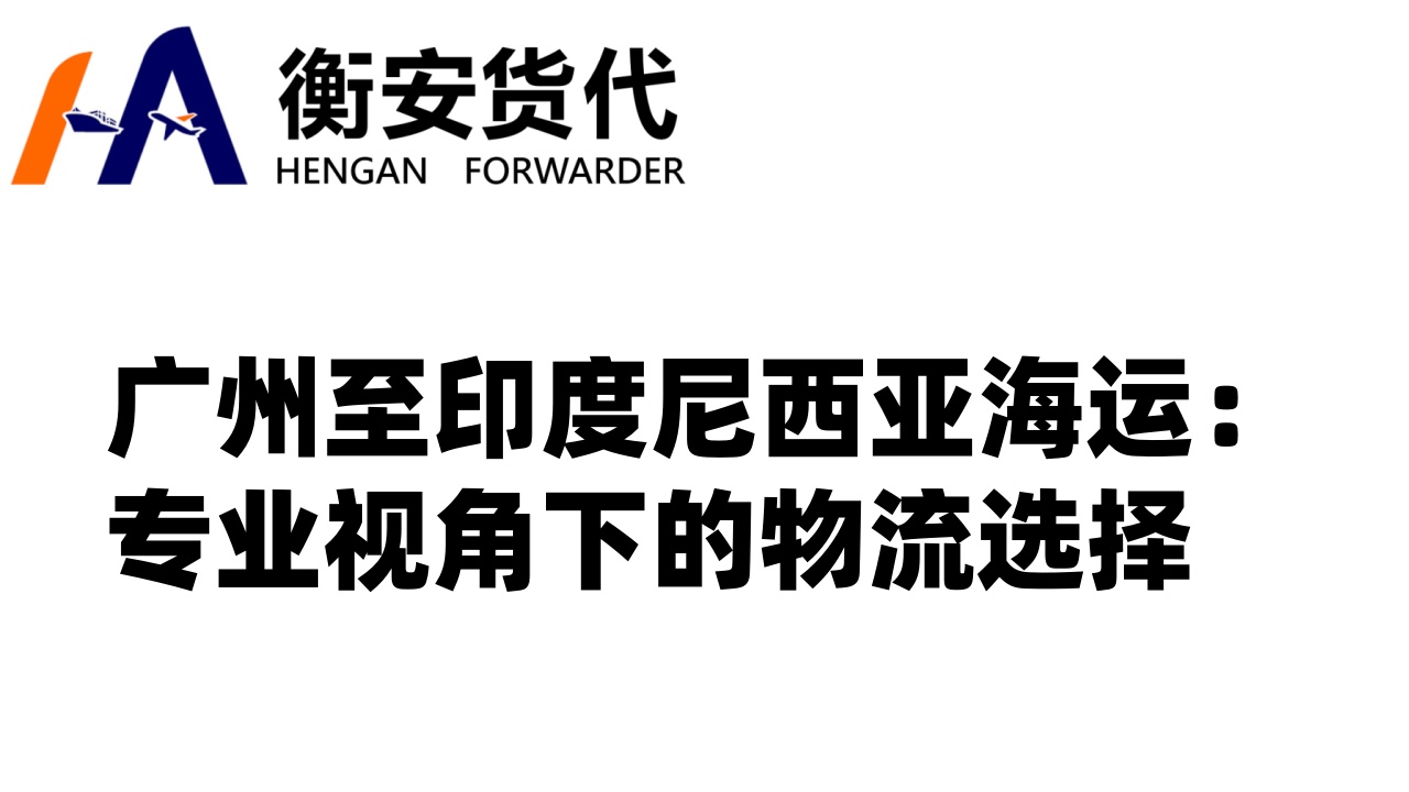 广州至印度尼西亚海运：专业视角下的物流选择